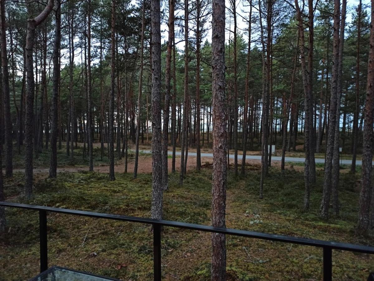 Beach House In Lohusalu - For Extra Cost Sauna And Barrel Bath Laulasmaa Extérieur photo